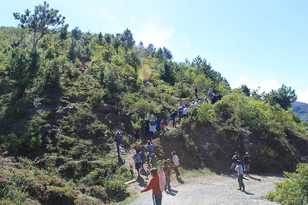 A procession of many winding up the hill carrying trees to be planted