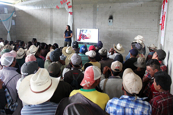 Reforestation workshop