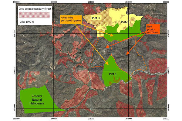 Map of land usage in for reforestation to support Abronia and Beaded Lizard