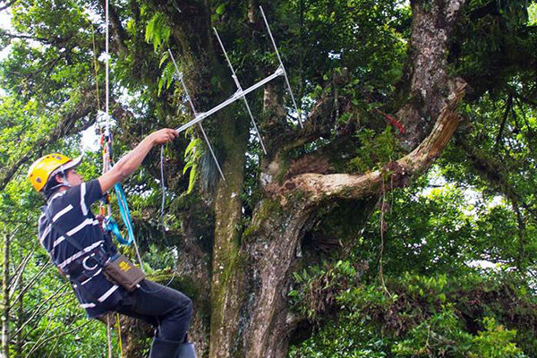 Radio Tracking