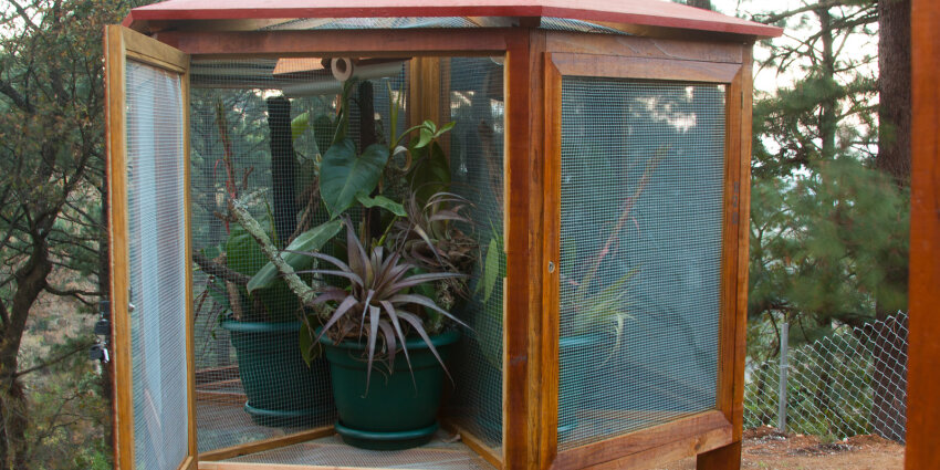 View of one cage segment